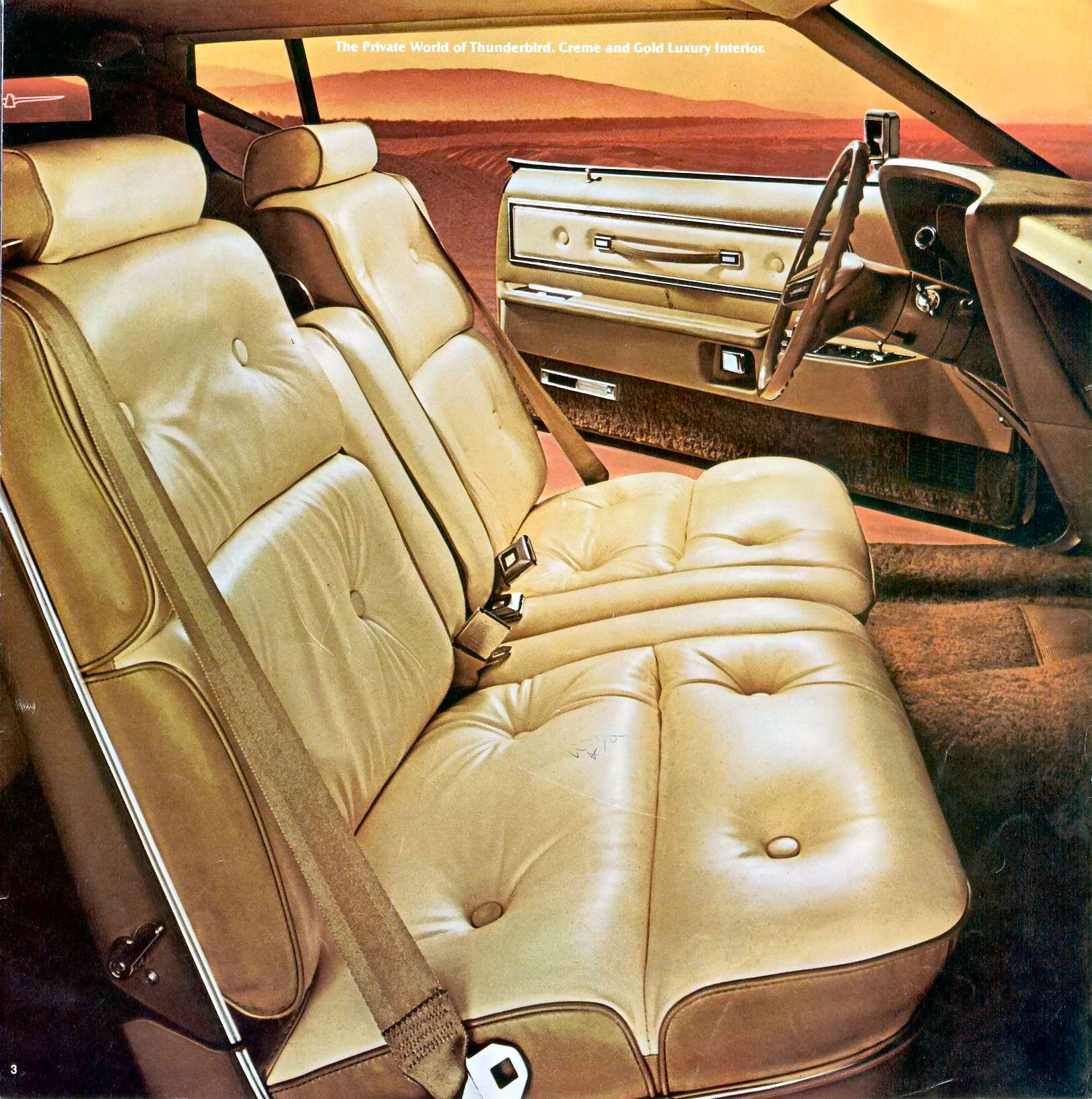 1974 Ford Thunderbird Brochure